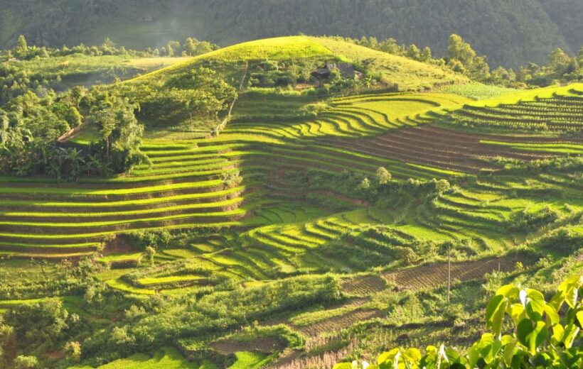 Paket Tour Vietnam Sapa 5 Hari 4 Malam Short Escape