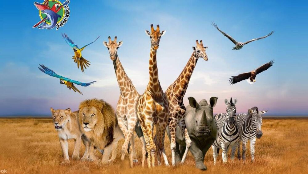 Paket Tour Bangkok 5 Hari 4 Malam Safari World & Marine Park 2 Thailand