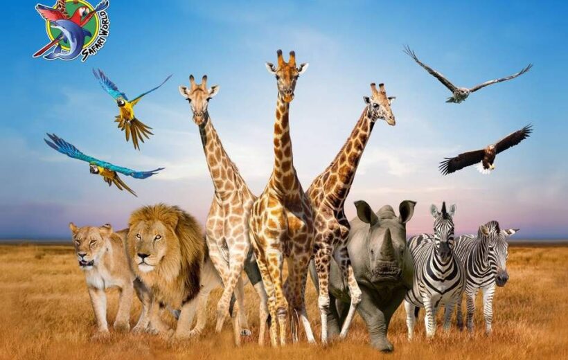 Paket Tour Bangkok 5 Hari 4 Malam Safari World & Marine Park