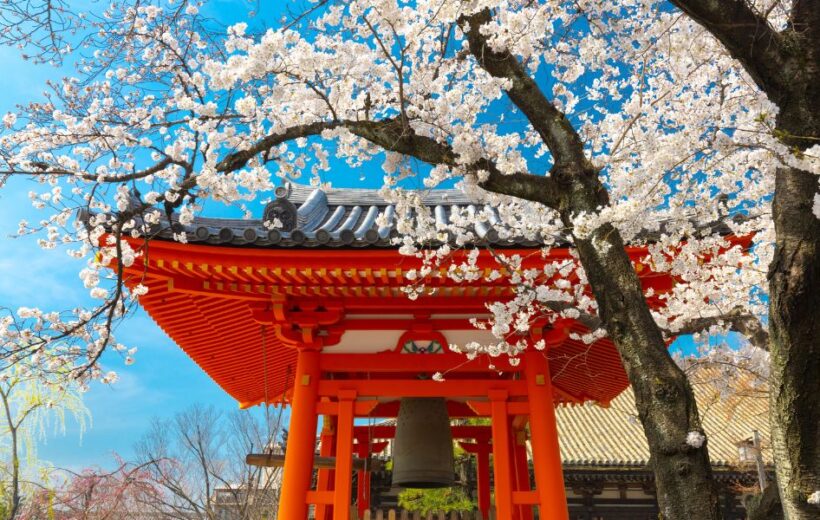 Paket Tour Jepang 7 Hari 6 Malam di Tokyo Mount Fuji Disneyland