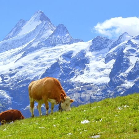 Switzerland